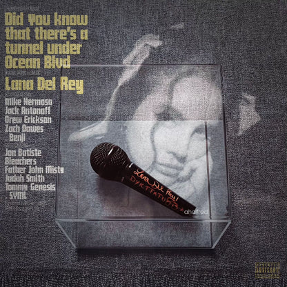 Lana Del Rey – Signed Microphone