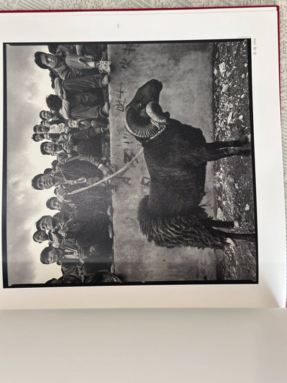 Li Fan – Cangshan Yi Eagle Signed Photography Book — product detail 8