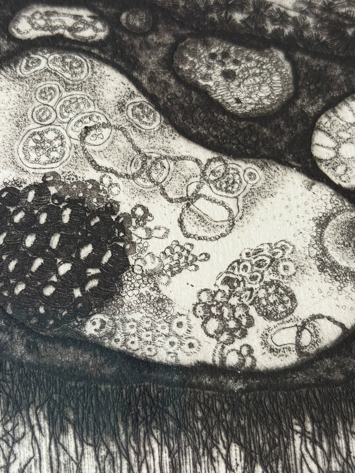 Galaxy Kirin – Signed Etching, 1996, 2/35