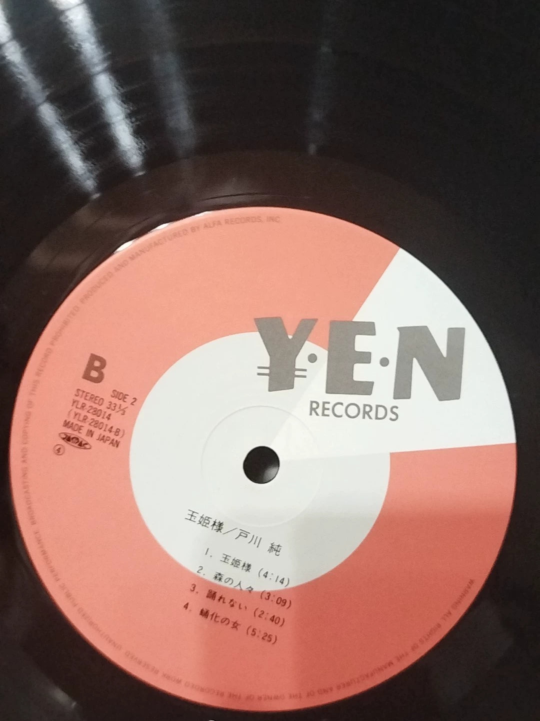 Jun Togawa – Tamahime-sama, Japan (LP) – photo 8