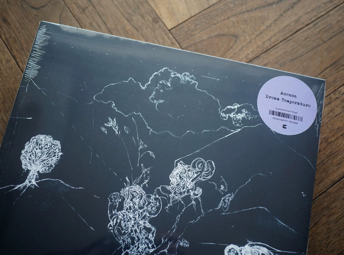 Anenon – Dream Temperature – Clear Vinyl LP — product detail 3
