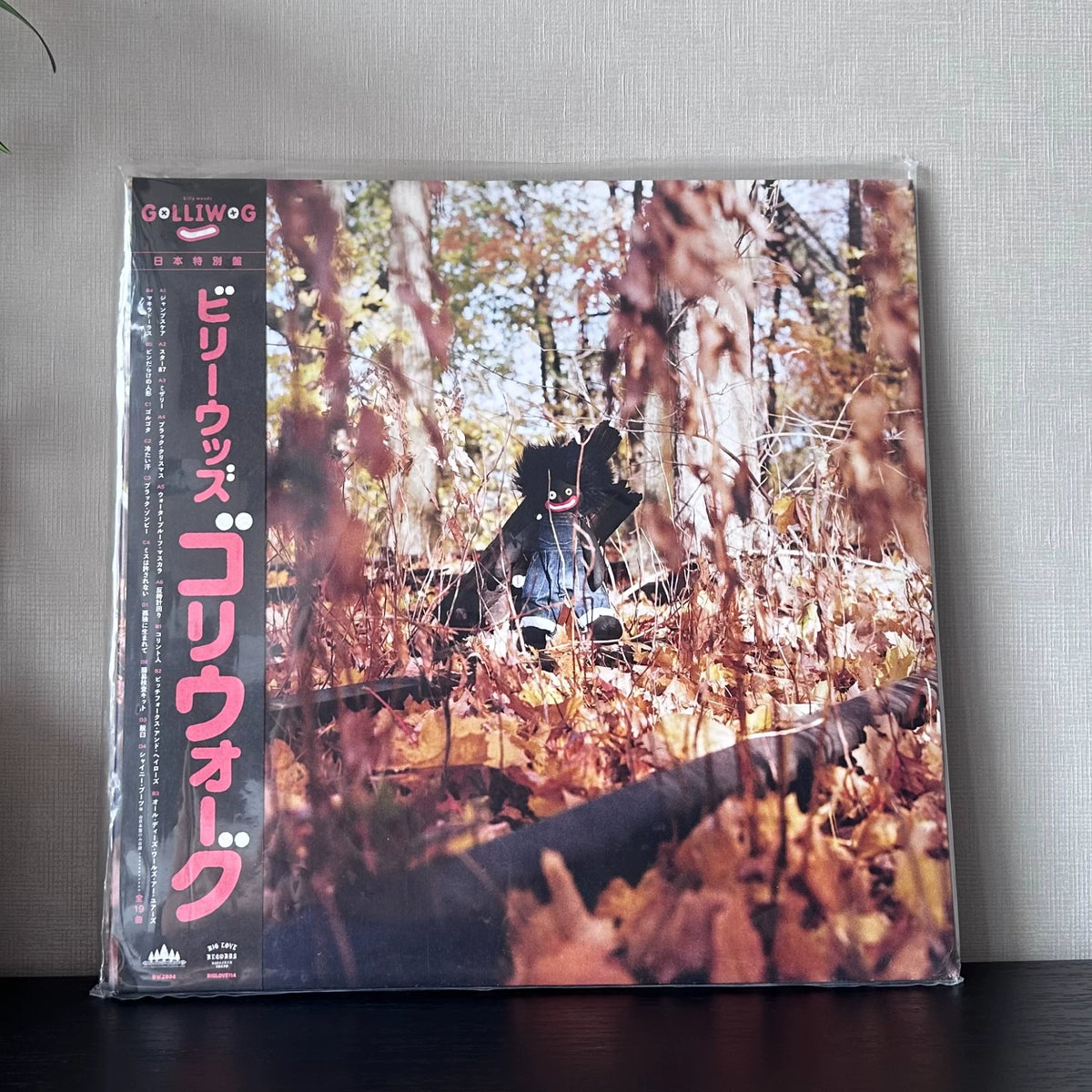 Billy Woods – Golliwog Independent Exclusive Vinyl LP — front view