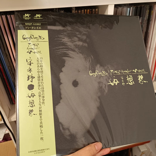 Song Dongye 宋冬野 – 再想想 – Japanese Misprint Vinyl 2LP