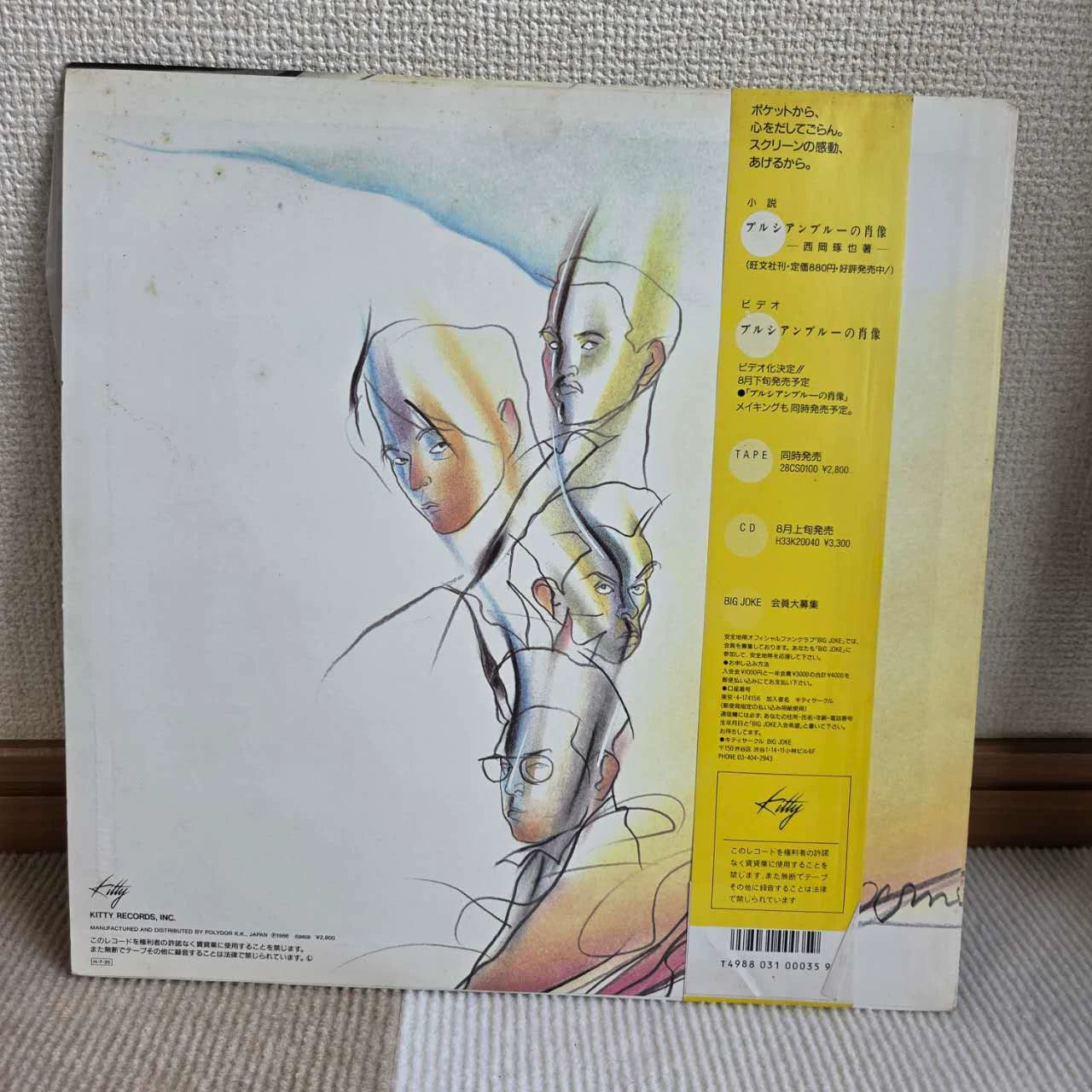 Anzen Chitai LP detail