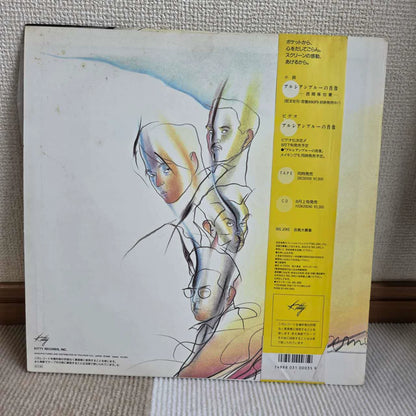 Anzen Chitai LP detail