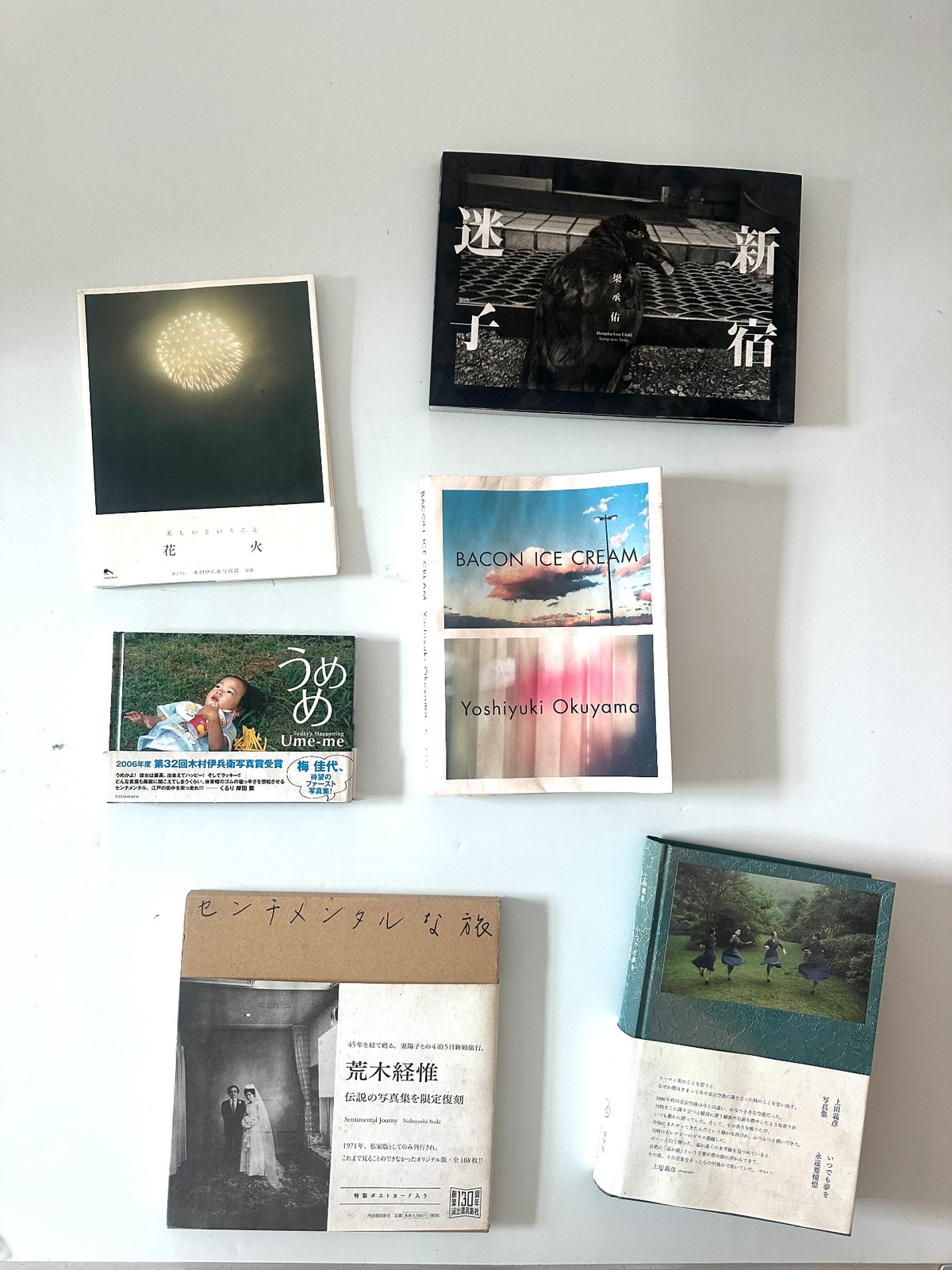 Nobuyoshi Araki – Sentimental Journey Limited Photo Book — original seller image