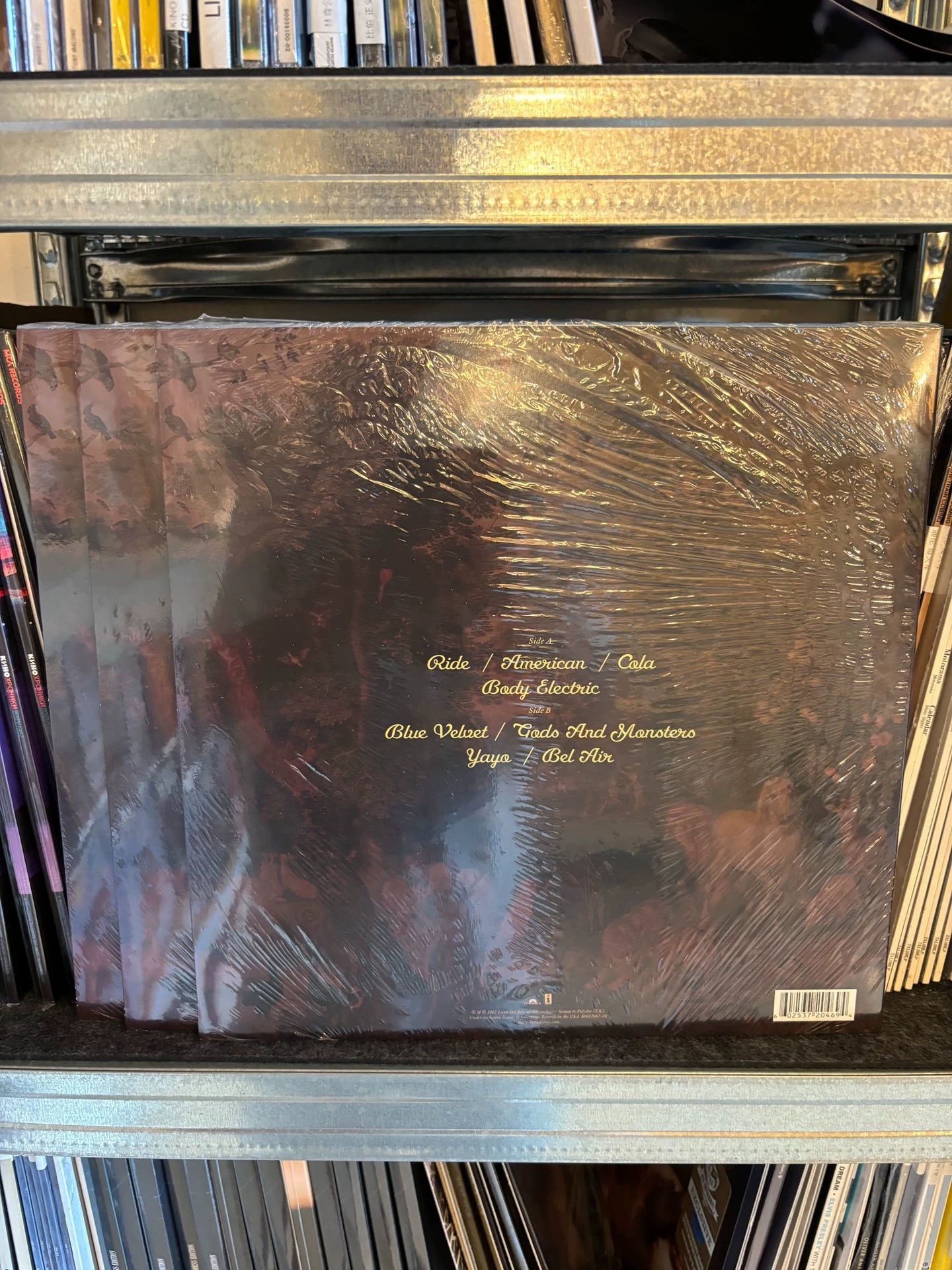 Lana Del Rey – Paradise – US Edition Vinyl (LP) — photo 2