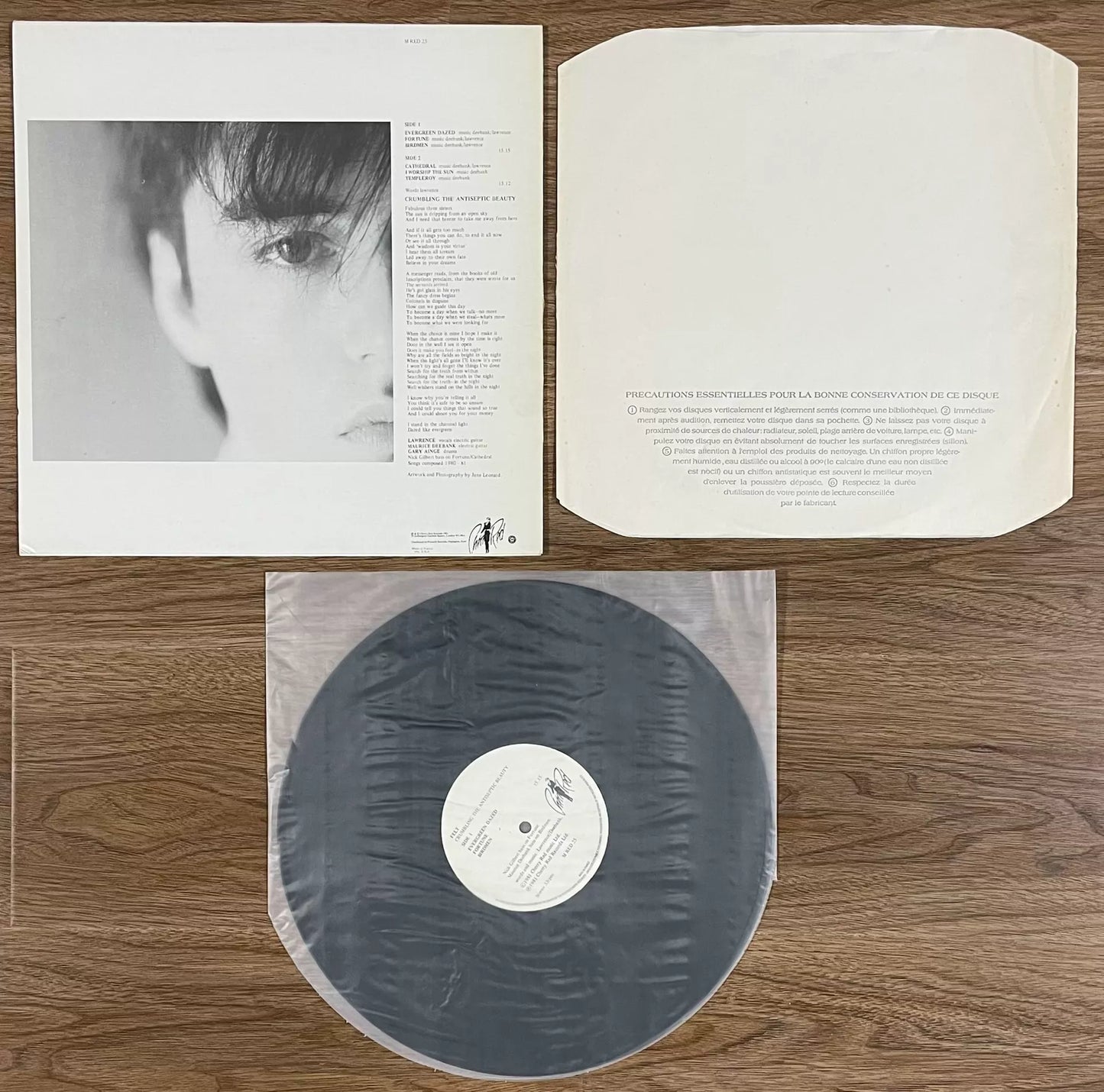 Felt – Crumbling the Antiseptic Beauty 1982 UK First-Press Vinyl LP — product detail 2