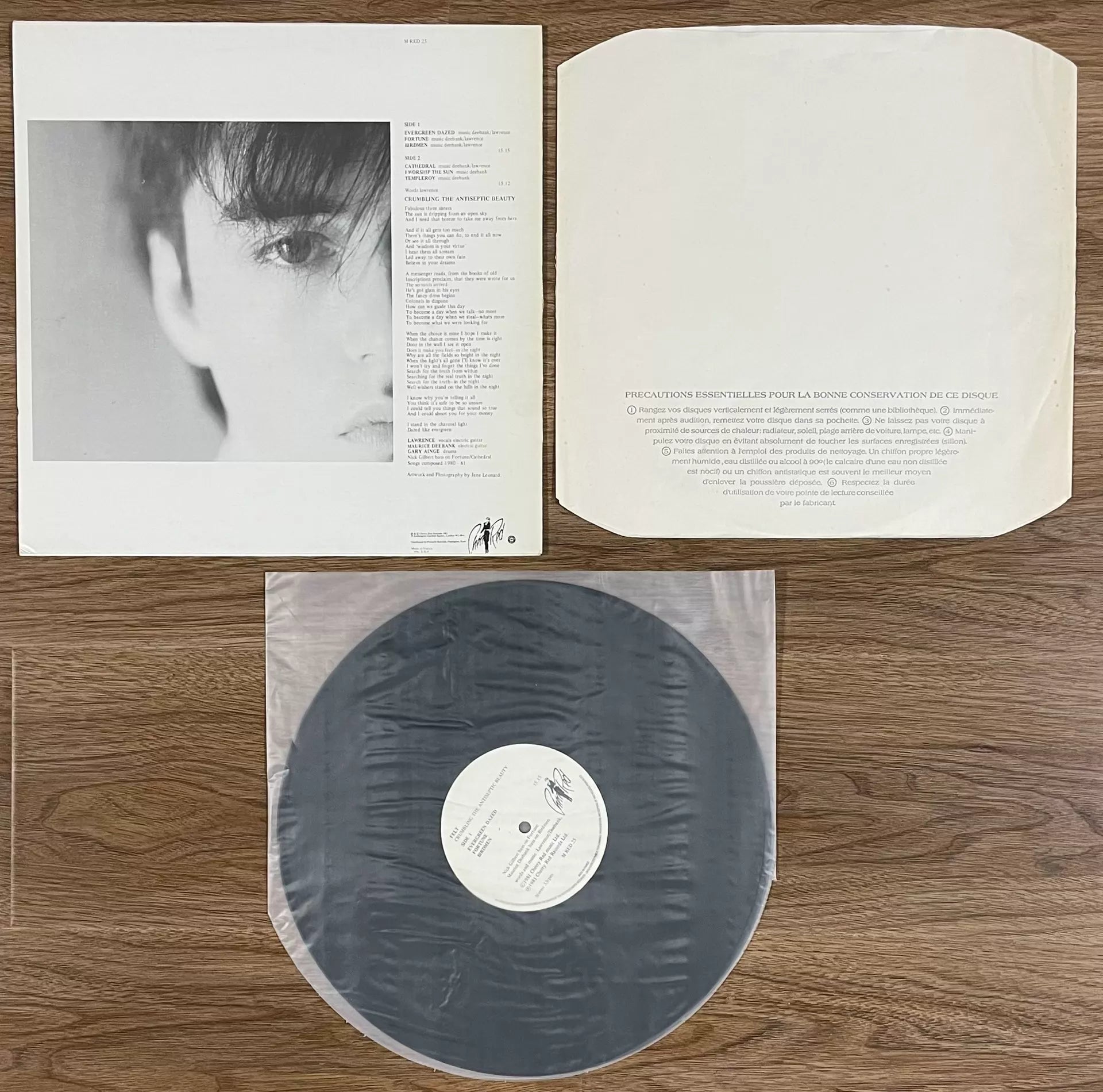 Felt – Crumbling the Antiseptic Beauty 1982 UK First-Press Vinyl LP — product detail 2