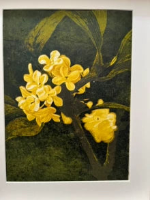 Bowen Botanical Series II — Framed Reduction Woodcut