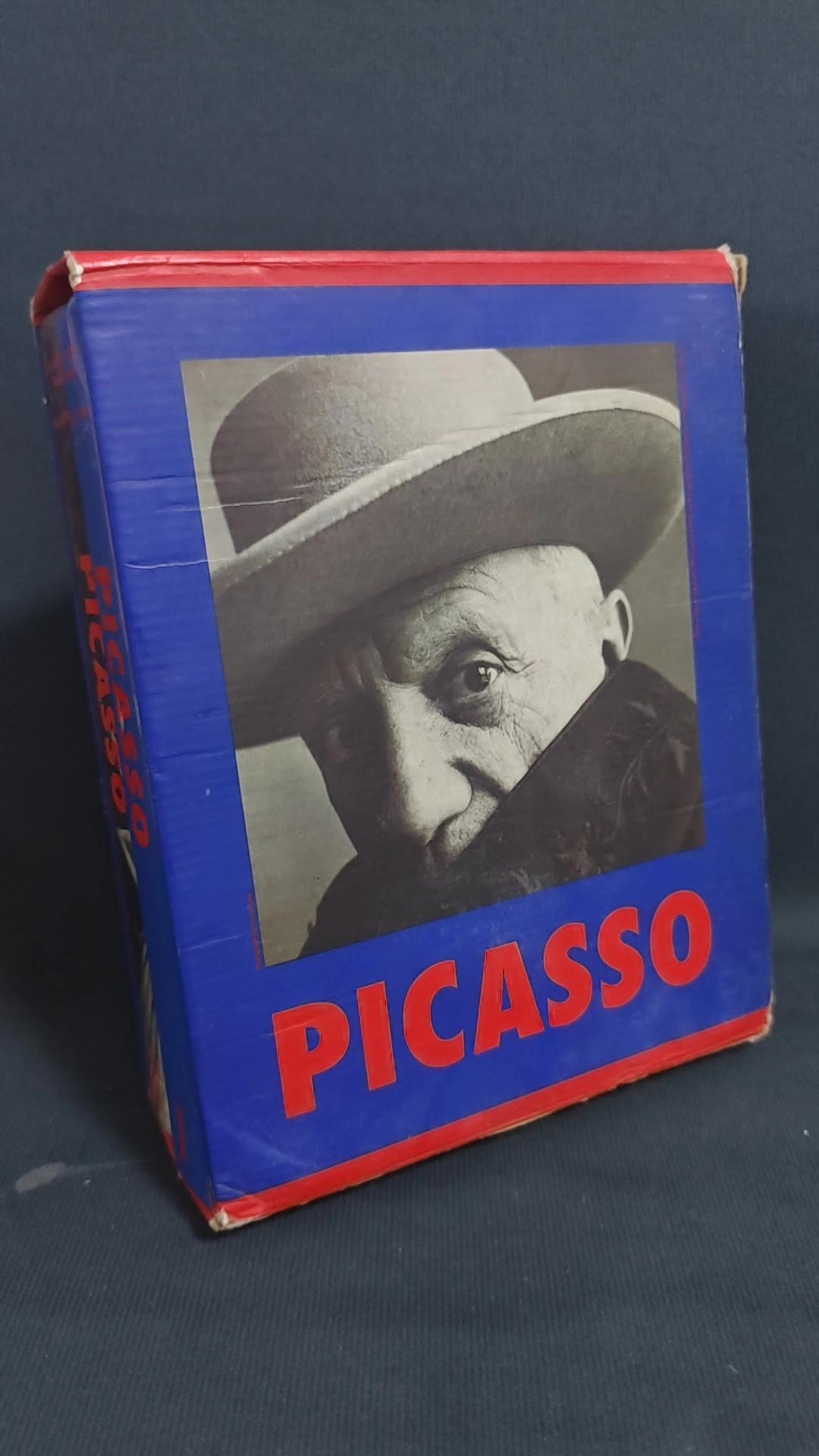 Pablo Picasso 1881–1973 – Complete Two-Volume Boxed Monograph — original seller image
