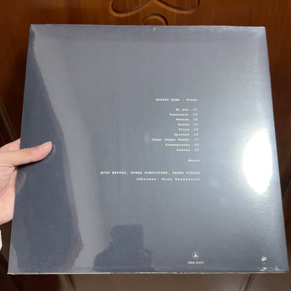 Molchat Doma Etazhi vinyl