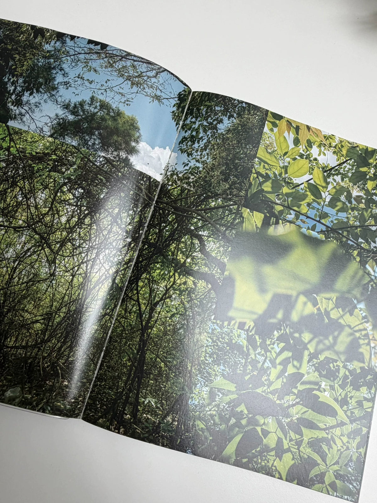 214 – Downriver 3 Photography Book — product detail 3