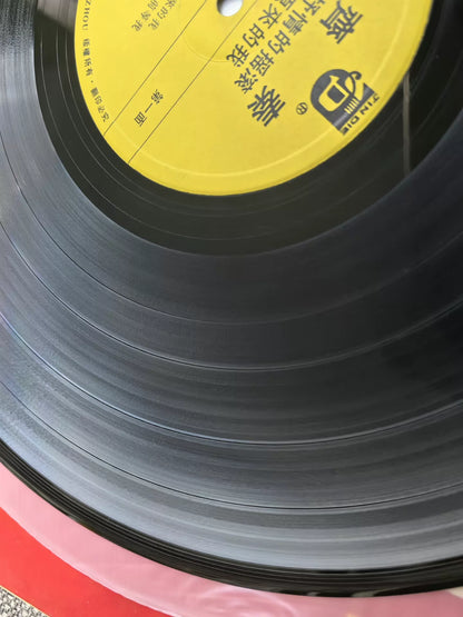Chyi Chin – Shu Qing De Lao Gun (LP) – photo 4