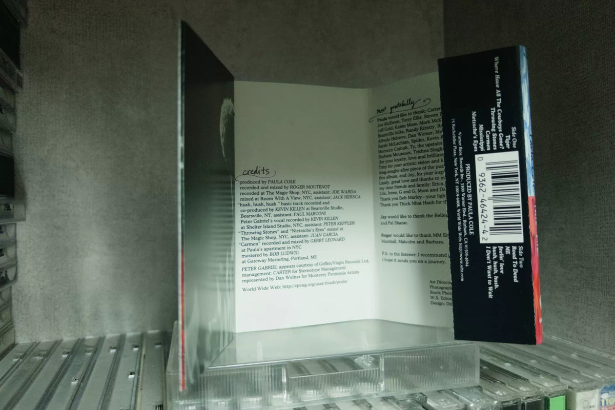Paula Cole – This Fire, US Edition (Cassette) – source photo 8