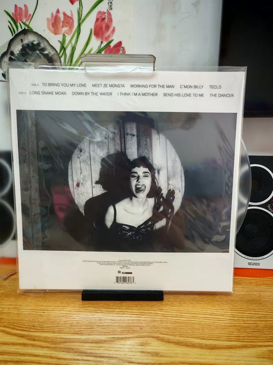 PJ Harvey – To Bring You My Love – Demos (LP) – source photograph 1