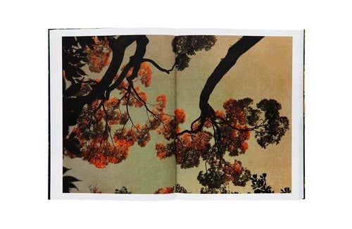 Listening to Trees – Poetry Book — detail 4