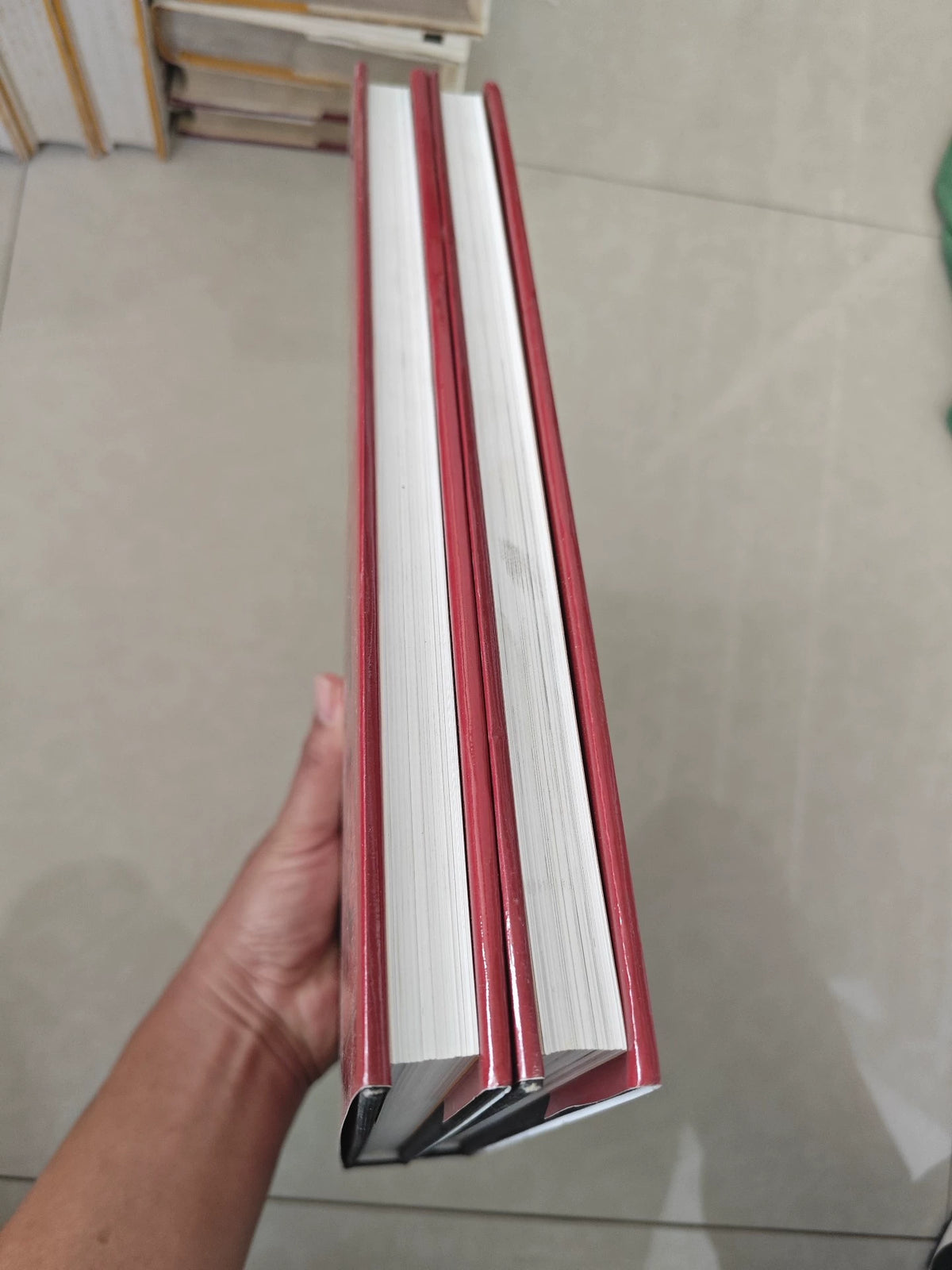 Jiang Zhaohe – Collected Paintings – Two-Volume Art Book Set – actual item photograph 4