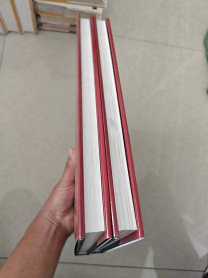 Jiang Zhaohe – Collected Paintings – Two-Volume Art Book Set – actual item photograph 4