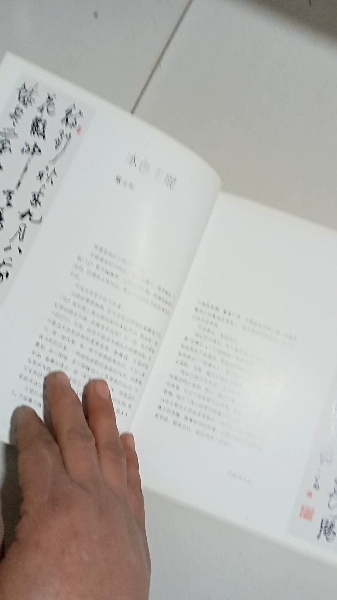 Wang Kun – Chinese Contemporary Art Criticism Series – Signed Edition — product detail 9