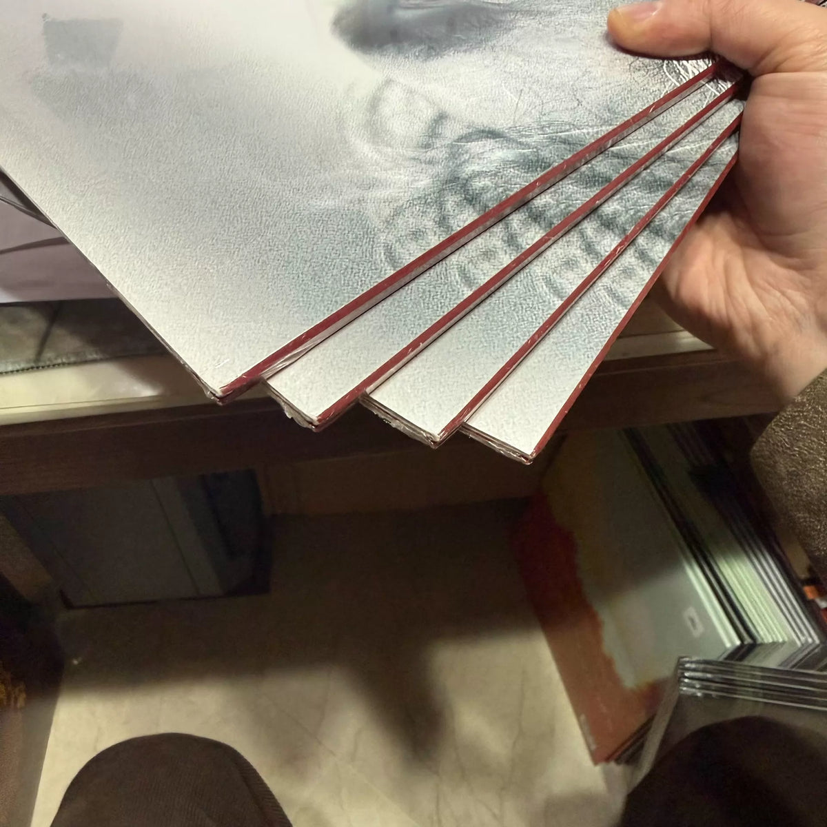 Andrea Bocelli – Amore – Limited Transparent Red Vinyl (2LP)