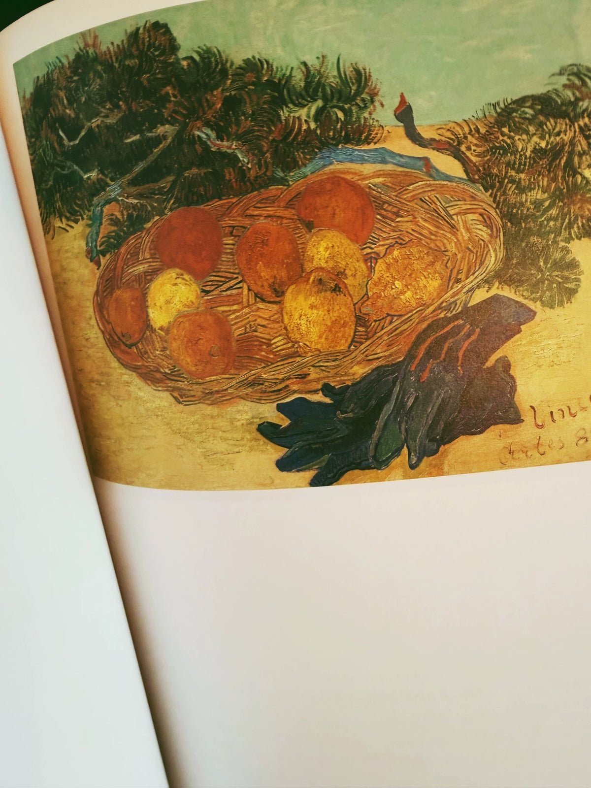 Van Gogh & Japan – Exhibition Art Book – actual item photograph 4