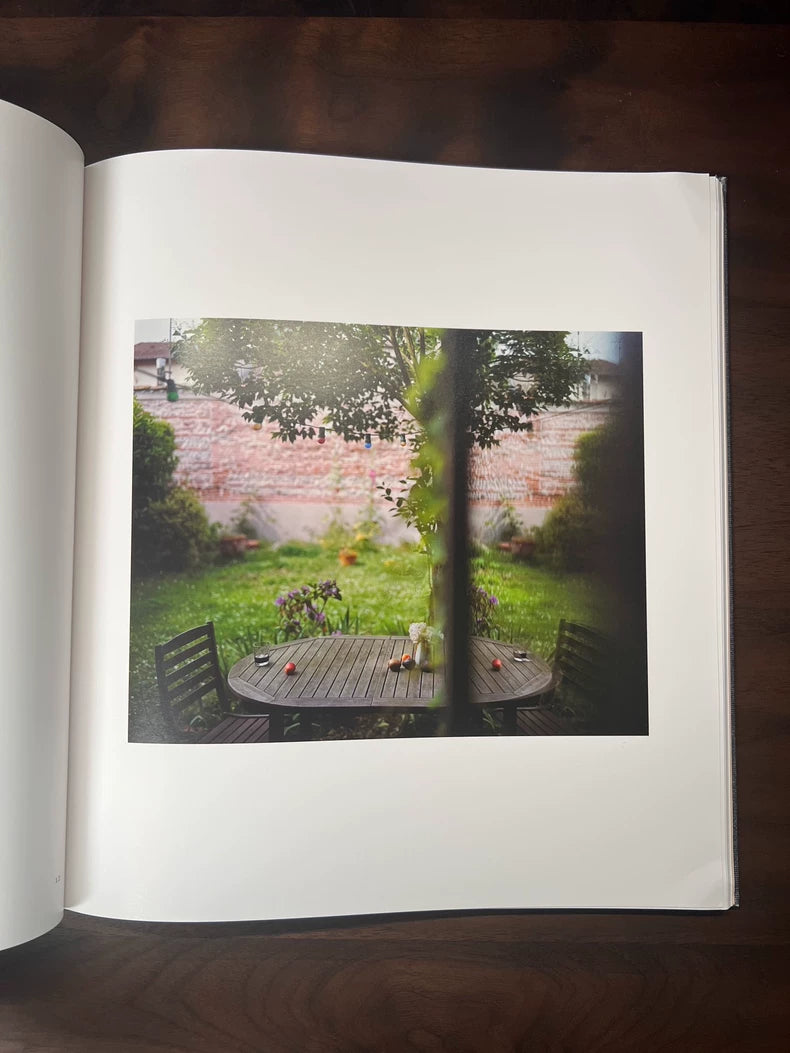 Alec Soth – I Know How Furiously Your Heart Is Beating – Photography Book — detail 5
