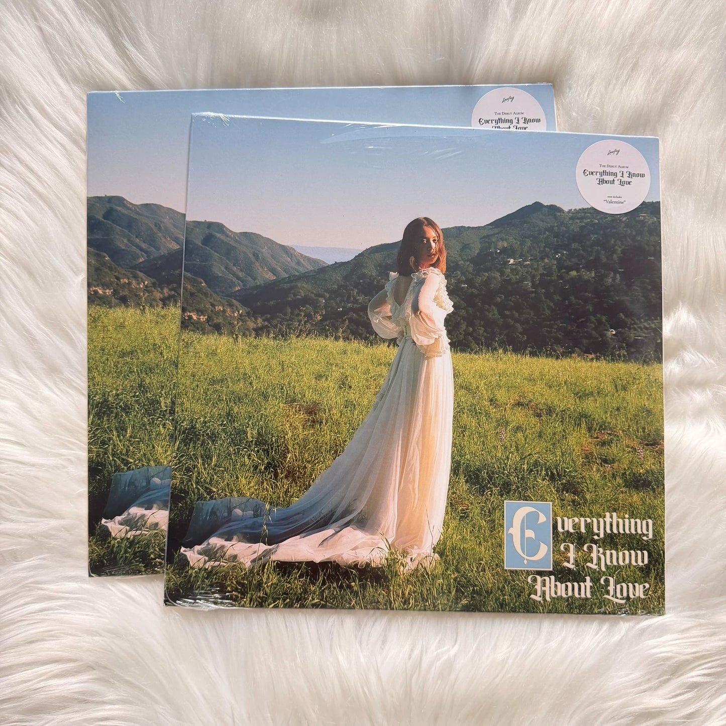 Laufey – Everything I Know About Love – Standard Black Vinyl (LP)