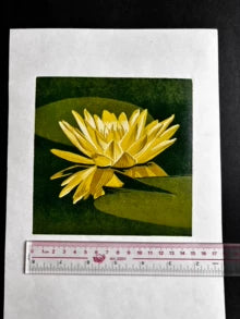 JIMU Lotus — Original Reduction Woodcut