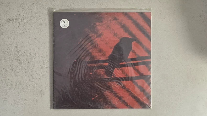 Silver Mt. Zion – Born Into Trouble – Canadian 2x10-inch