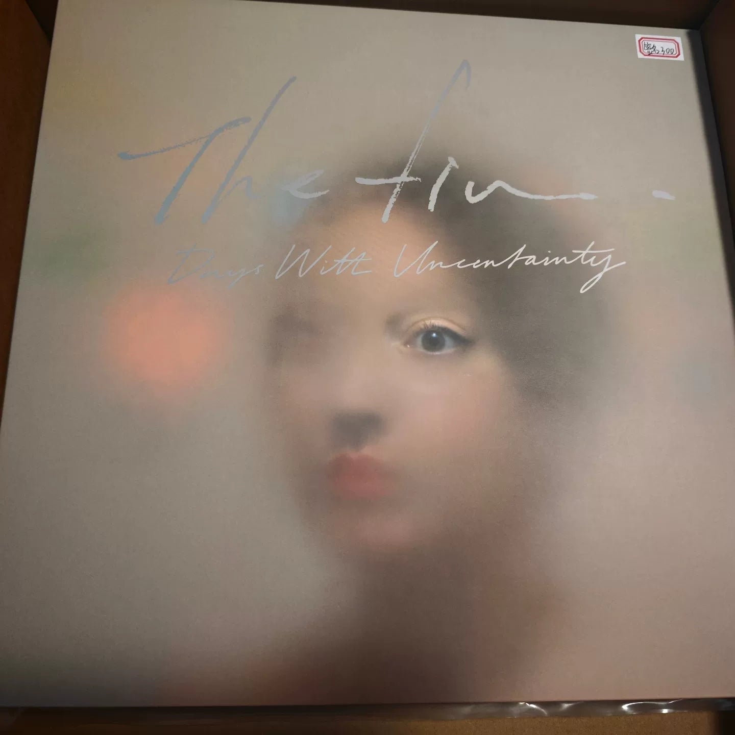The fin. – Days with Uncertainty Signed Limited Colored Vinyl LP