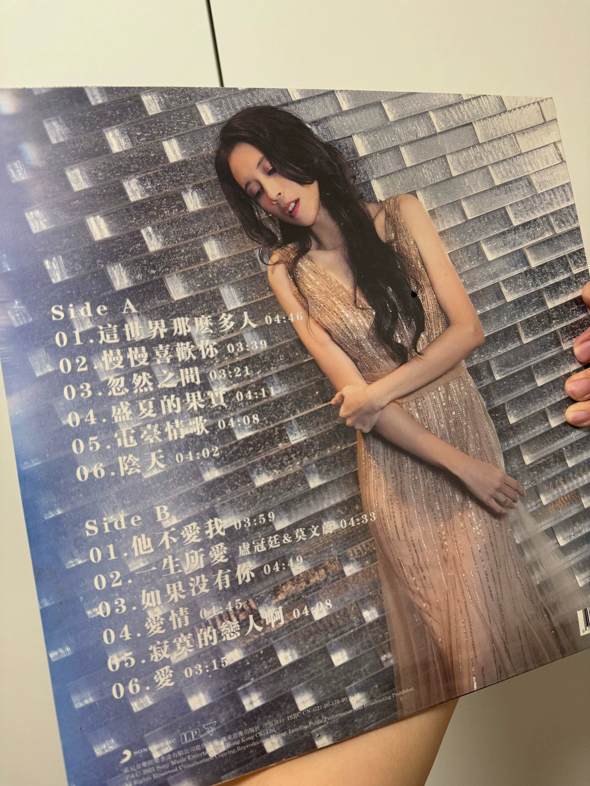 Karen Mok – Zhe Shi Jie Na Me Duo Ren (LP) – photo 2