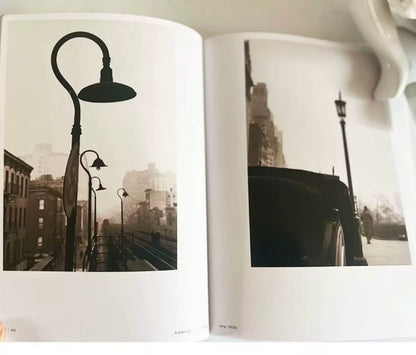 Forever Saul Leiter – English Edition – photograph 4