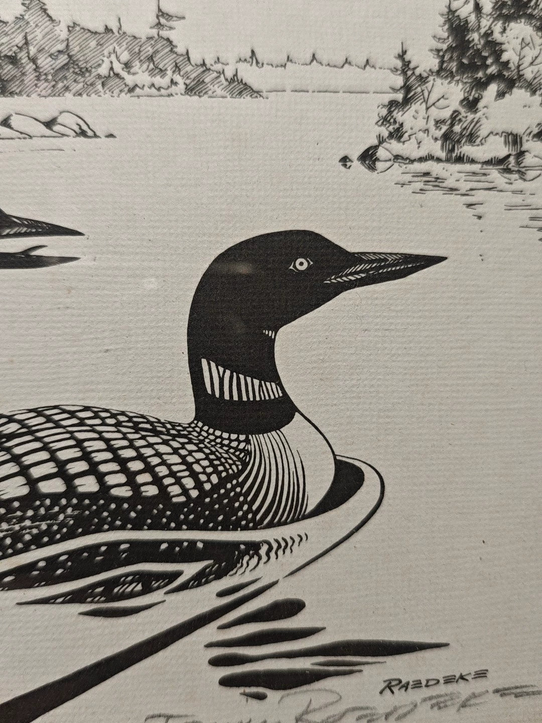 Terry Radeke – Loon – Framed Print 719/900 – detail 5
