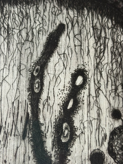 Galaxy Kirin – Signed Etching, 1996, 2/35