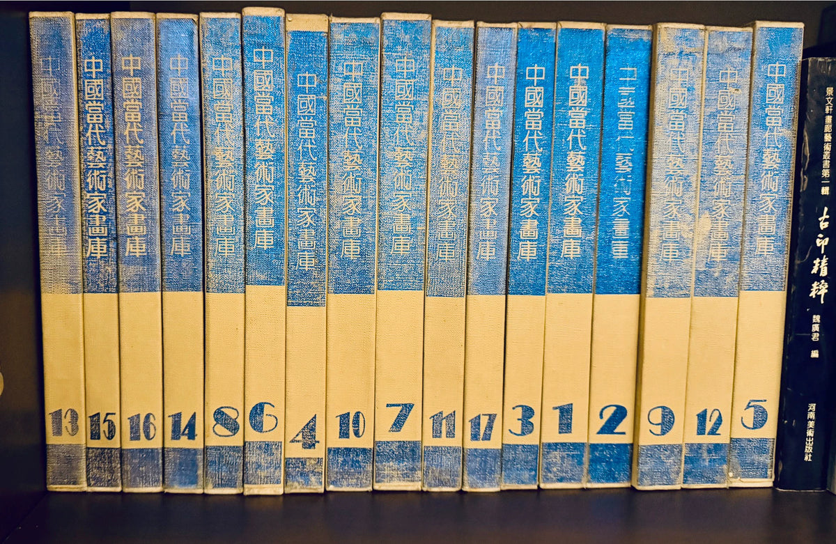 Treasures of Contemporary Chinese Painting – 17-Volume Art Book Set – actual item photograph 1