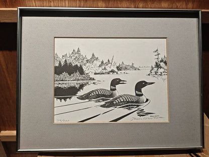 Terry Radeke – Loon – Framed Print 719/900