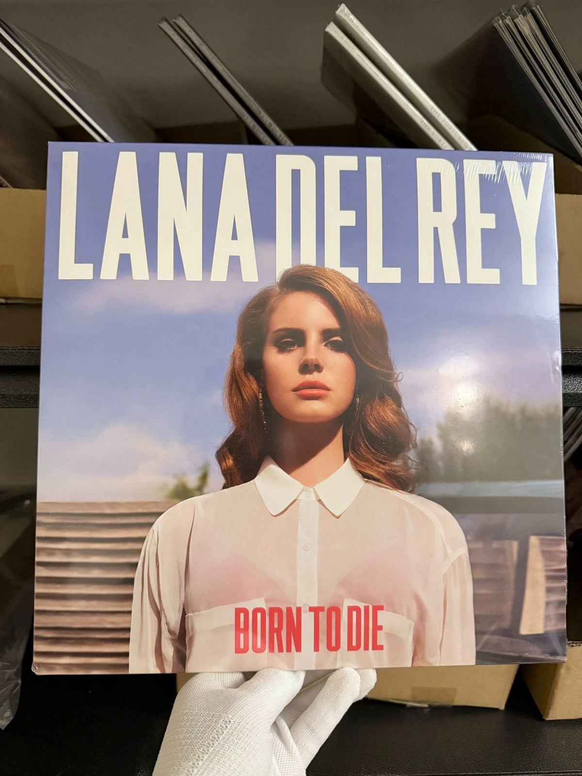 Lana Del Rey – Born to Die – Vinyl (LP)