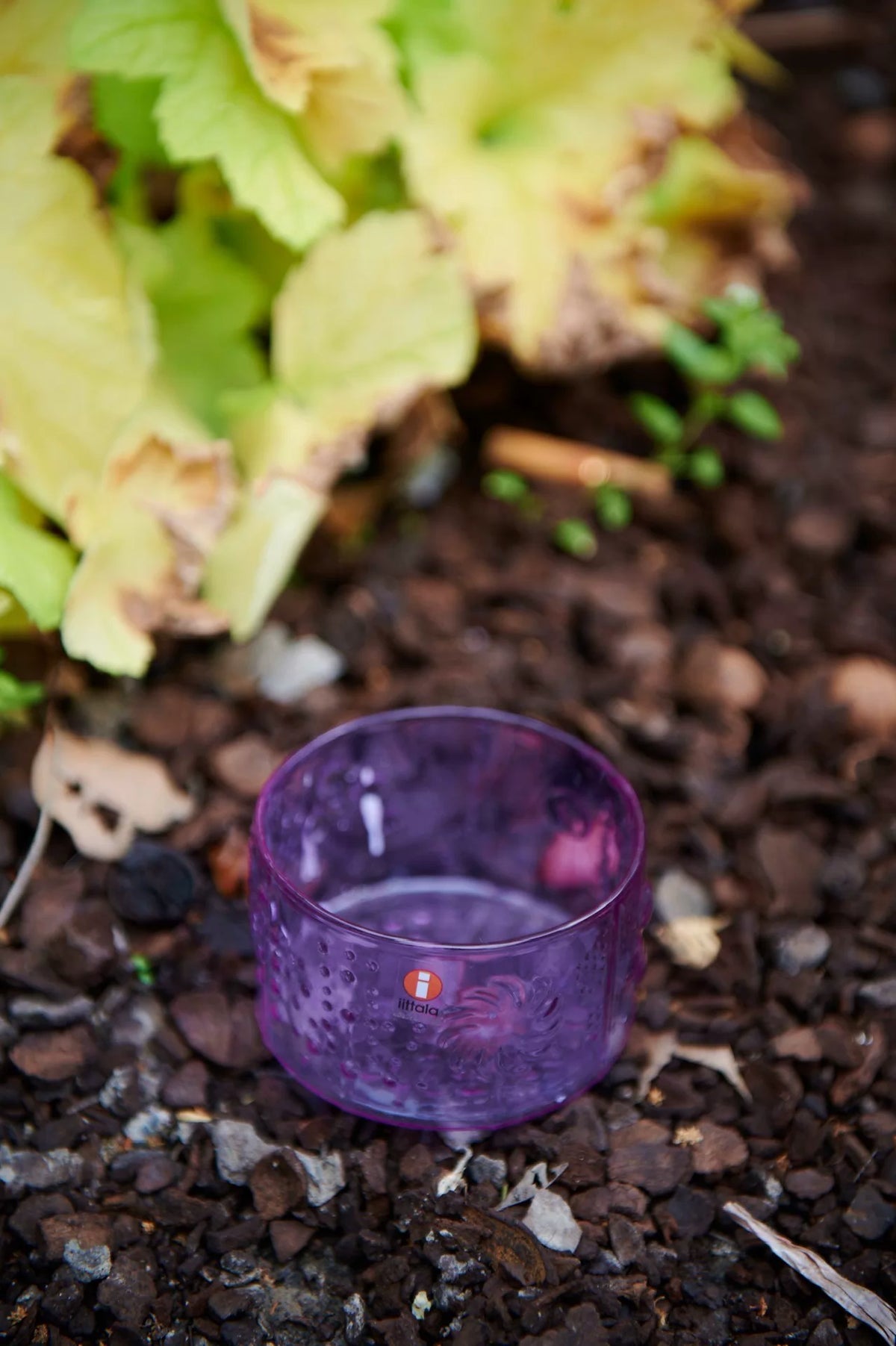 Flora – Purple Botanical Glass Bowl — product detail 3