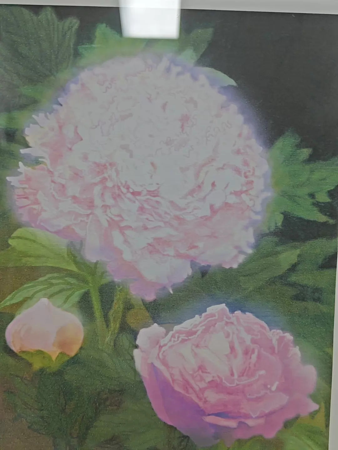 Naoko Hara – Peonies – Framed A/P Print – detail 8