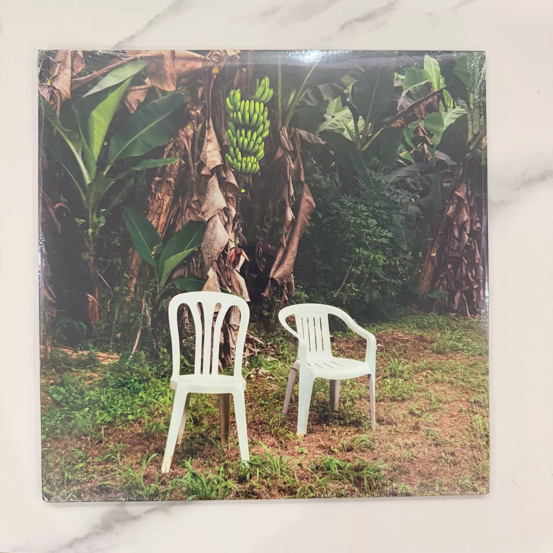 Bad Bunny DeBÍ TiRAR MáS FOToS vinyl record