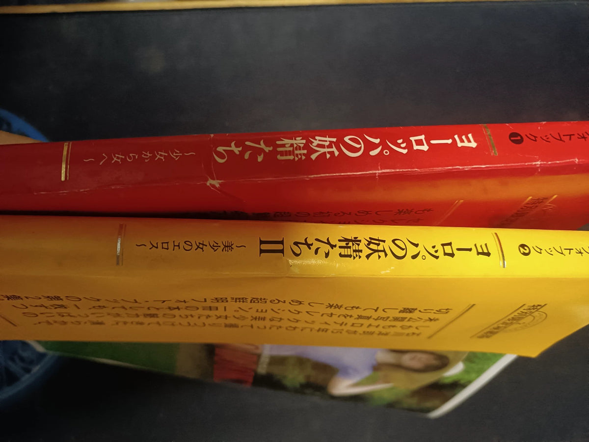 Yoji Ishikawa – Photography Book – Two-Volume Set — detail 3