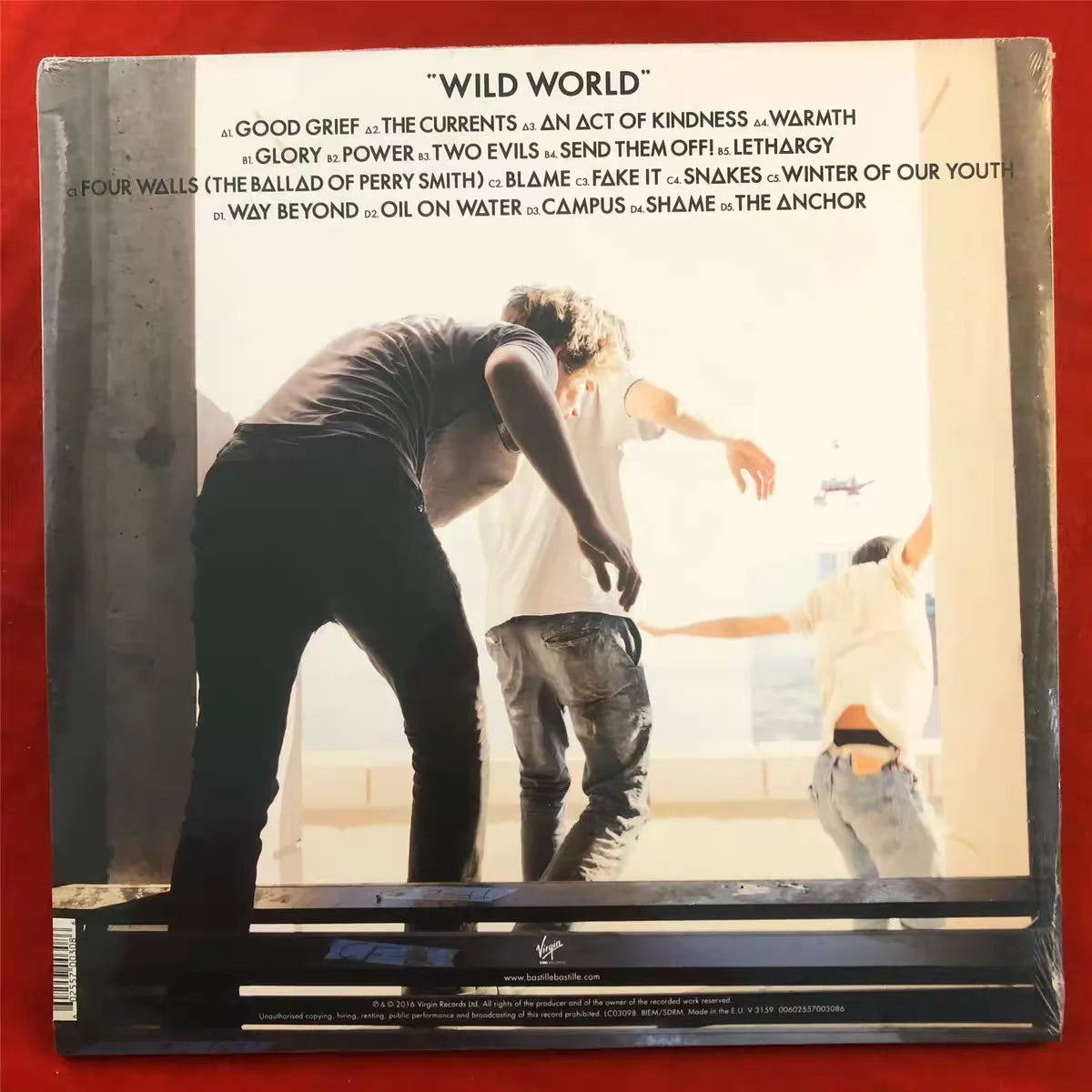 Bastille – Wild World – European Vinyl 2LP – image 2