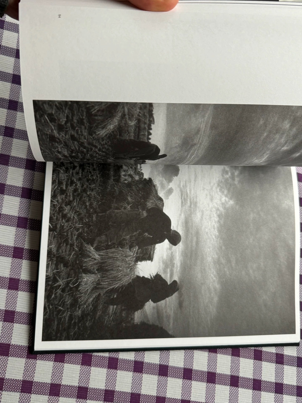 Ichiro Kojima – Solitude Standing – Photography Book — detail 5