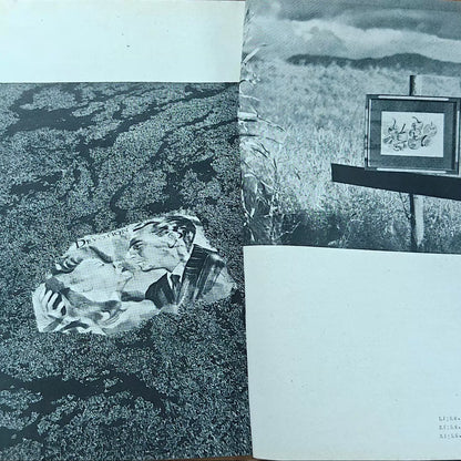 Koga Gekkan – March Issue, Japanese Photography Magazine – photo 3