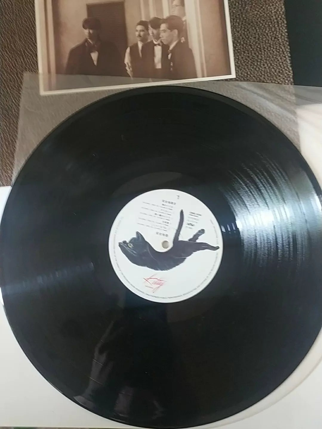 Anzen Chitai – IV – Japanese Vinyl LP with Obi – detail 7