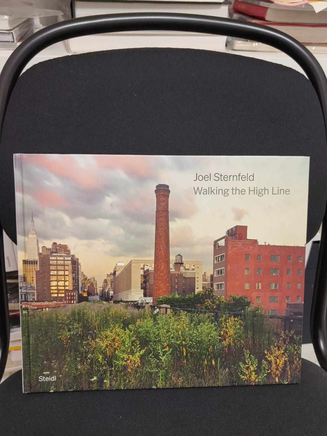 Joel Sternfeld – Walking the High Line – Revised Edition