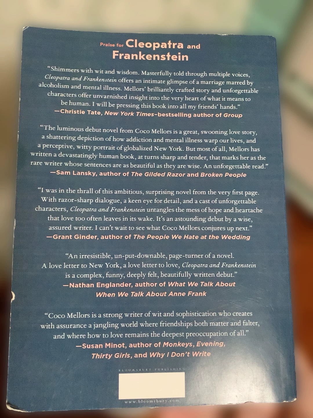 Coco Mellors – Cleopatra and Frankenstein, English Novel – photo 2
