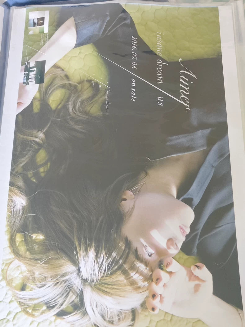 Aimer insane dream us promotional poster