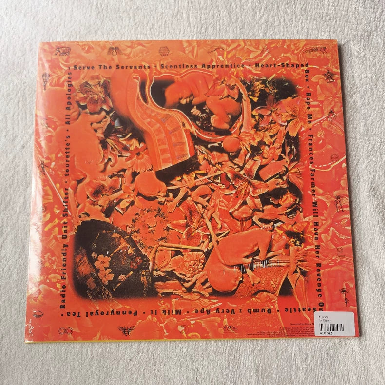 Nirvana – In Utero (LP) – source photograph 1
